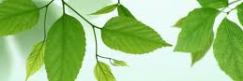 Cover image for post A Surtist New Year, by Surtism