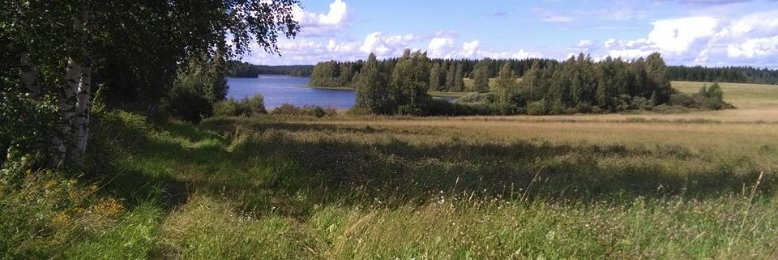 Cover image for post Field of Green, by saagarosti