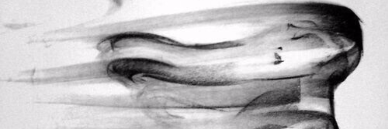 Cover image for post untitled. #2, by lady_hemingway