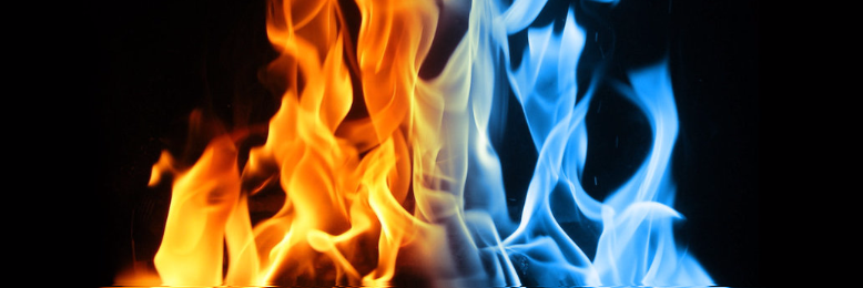 Cover image for post do not resuscitate., by lady_hemingway