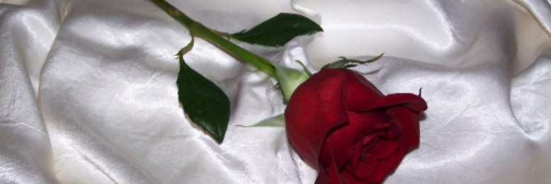 Cover image for post if you love me let me know, by phosphenes