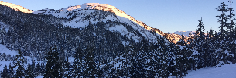 Cover image for post A Streak of Freedom, by northernlight