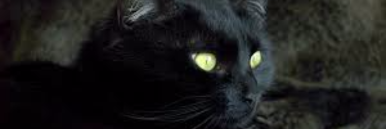 Cover image for post Catacomb, by sandflea68