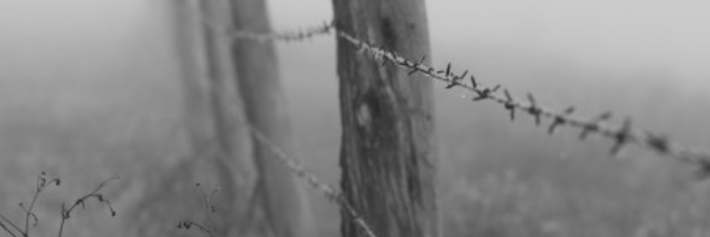 Cover image for post Upon Further Inquiry, by SevenWinds