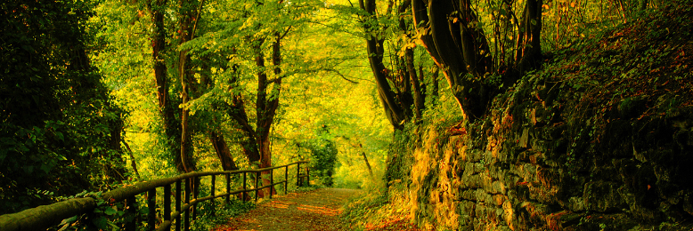 Cover image for post The Engineer of Storytelling, by CindyPruneda