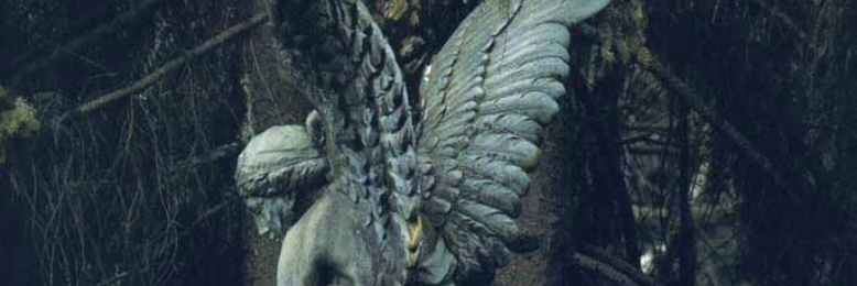 Cover image for post To Angels, by aslan