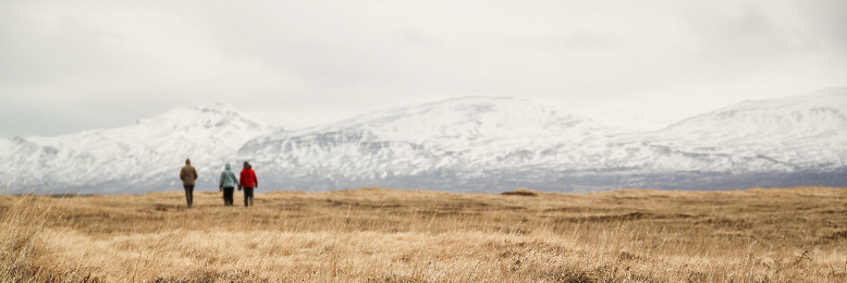 Cover image for post Accepting Loss and Letting Go: A Dreamtime Quest for Solace, by WildBlossom