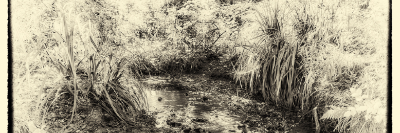 Cover image for post The Stream, by Andrewgw