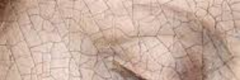 Cover image for post C Is For Cracked, by pwray