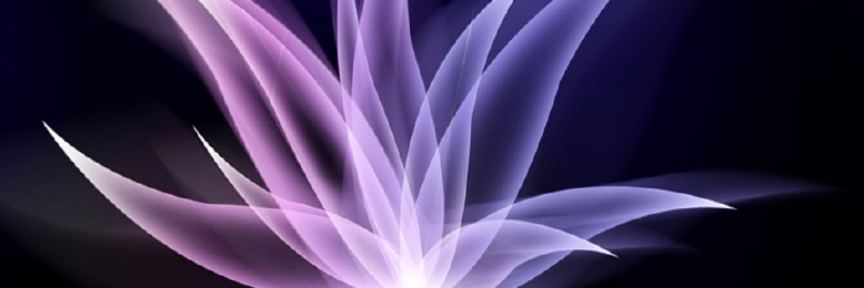 Cover image for post Untitled, by Porcelina1601