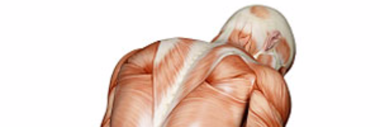 Cover image for post Flesh and Bone, by Cafe_Carcinogen