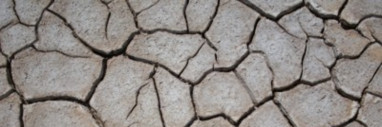 Cover image for post Detachment, by Fishsnippets