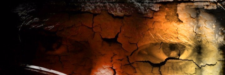 Cover image for post Bitter Tears, by GinnyMink