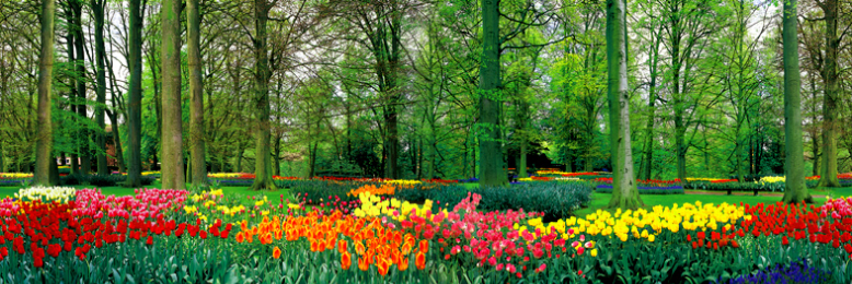 Cover image for post Untitled, by crayzed