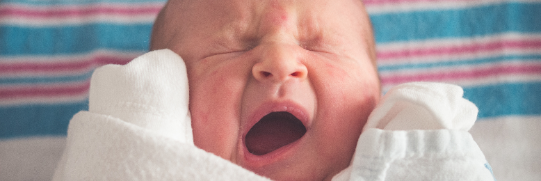 Cover image for post The Future Kingdom, by MsHannahTweets