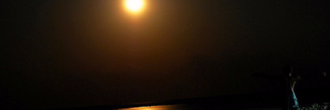 Cover image for post King Star, by Fishsnippets