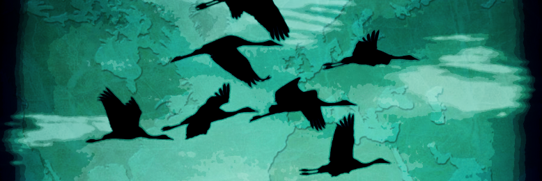 Cover image for post SevenWinds, by SevenWinds