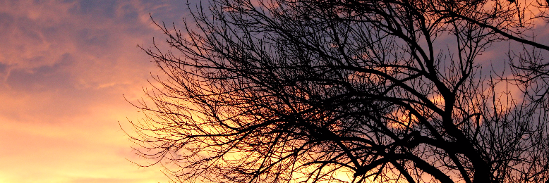 Cover image for post Overview, by Fishsnippets