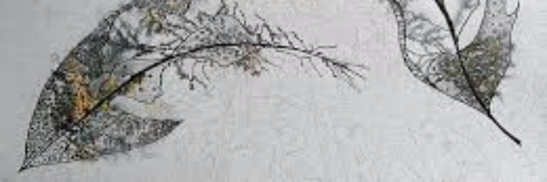 Cover image for post Crusts, by sandflea68