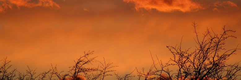 Cover image for post Stress-Less, by Fishsnippets