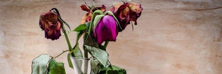 Cover image for post Polar, by nfaulk6