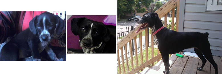 Cover image for post A Word - or several - From Baby Dahl, by Tee_Hi