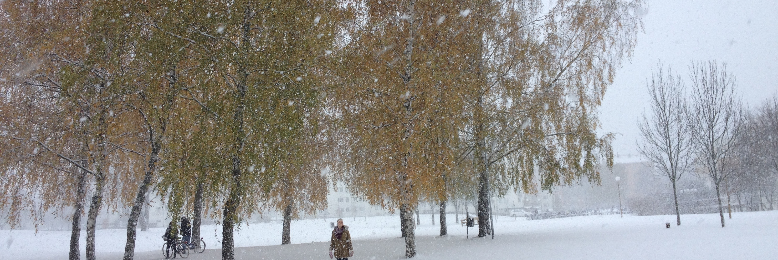 Cover image for post Winter Girl, by dcfatcat