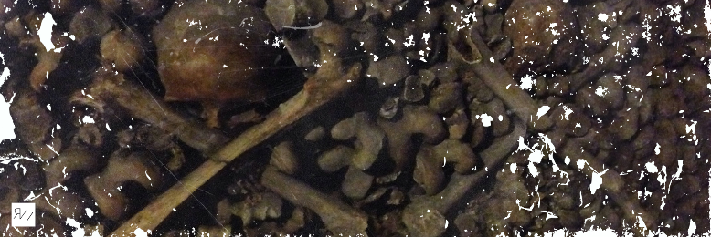 Cover image for post The Bones of Us, by RichWithey