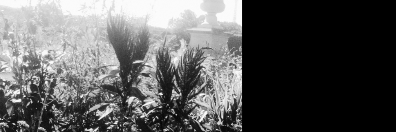 Cover image for post ., by burnhouse