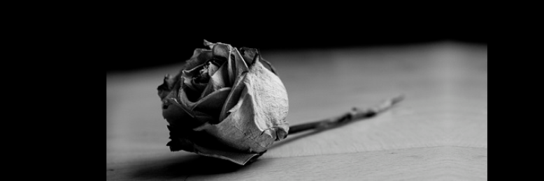 Cover image for post Winter, by EriduSerpent