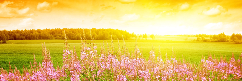 Cover image for post No Comparison, by Bas