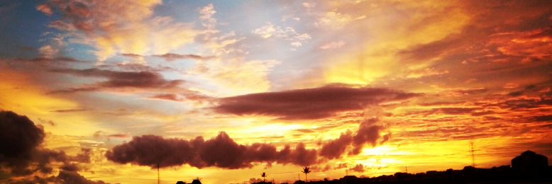 Cover image for post Born to Lie, by anna2