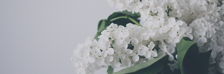 Cover image for post A Study on Ephemeral, by stardusts