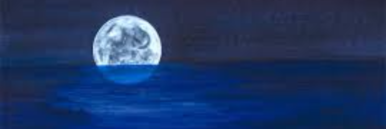 Cover image for post Intoxication, by sandflea68