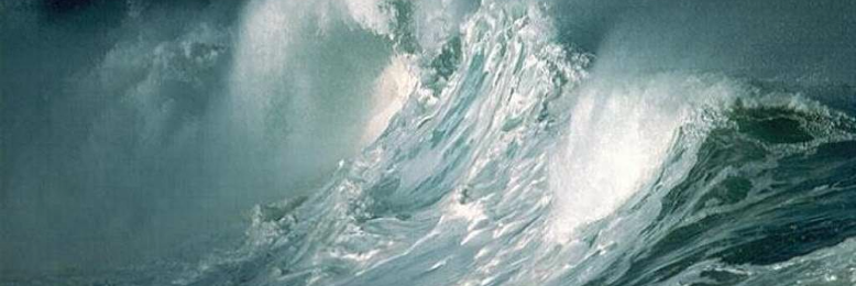 Cover image for post Fresh Start, by sandflea68