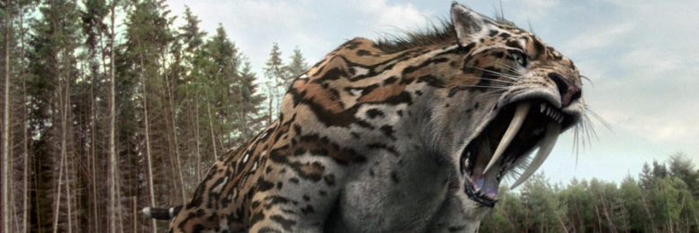 Cover image for post Smile On, Smilodon, by Harry_Situation