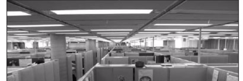 Cover image for post The Difference Between Crickets and Cicadas, by Jumotki