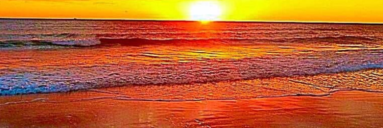 Cover image for post Claret Fluids, by sandflea68