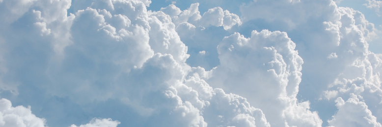 Cover image for post White, by LaurusTet