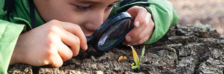 Cover image for post observe..., by James