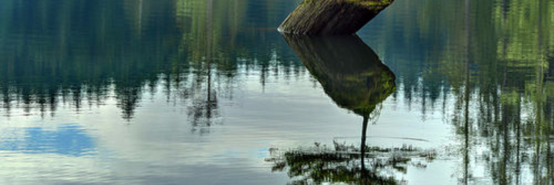 Cover image for post On chasing, by manto