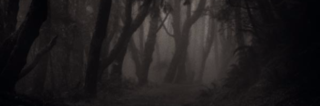 Cover image for post Shadows of Delusion, by DreamSentinel