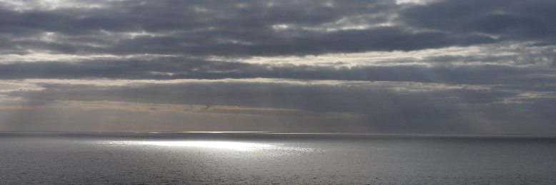 Cover image for post Floating palace, by Yen