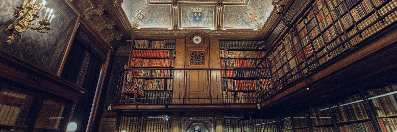 Cover image for post Excerpt: Momma's Journal, by Nmortenson