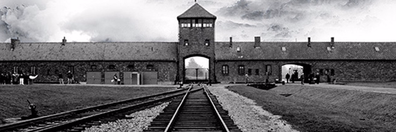 Cover image for post Left or Right, by CYS_Correia