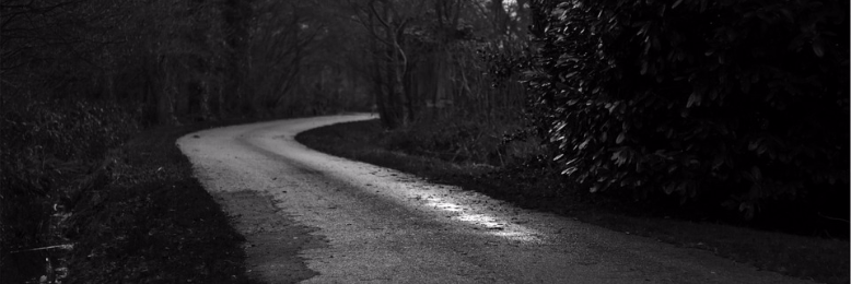 Cover image for post My Life’s Journey, by TheReadingCat