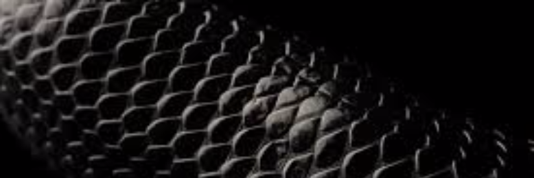 Cover image for post A Squamous Man, by FoldsFive