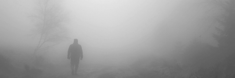 Cover image for post A Mist Shrouded Path, by dustygrein