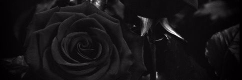 Cover image for post Goodbye., by NatalieBuquet