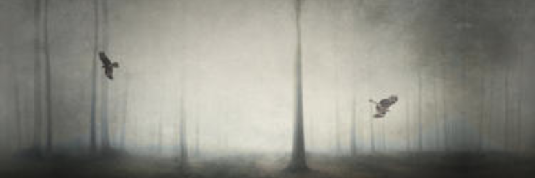 Cover image for post Partial chapter from "Is." (first draft finished), by BrianLandon